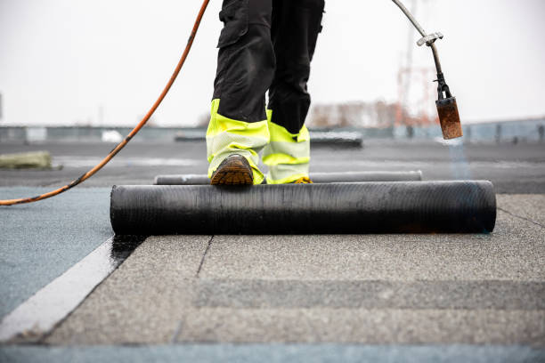 Best Roof Coating and Sealing  in USA